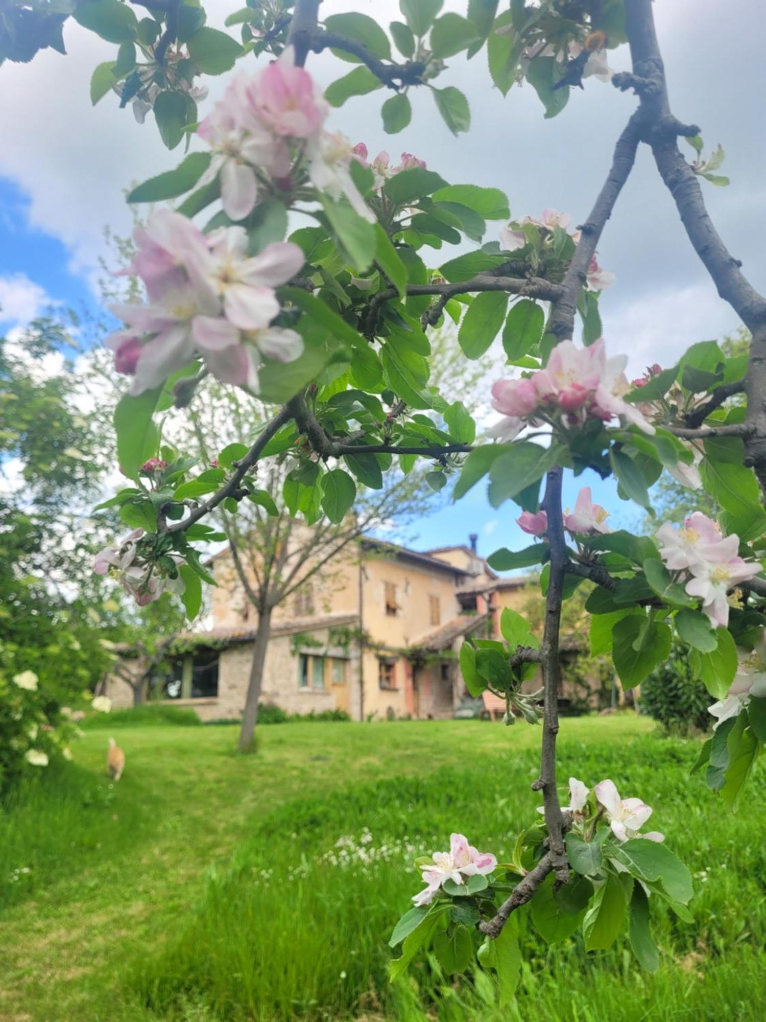 Casa Della Casa Apartment San Severino Marche Bagian luar foto