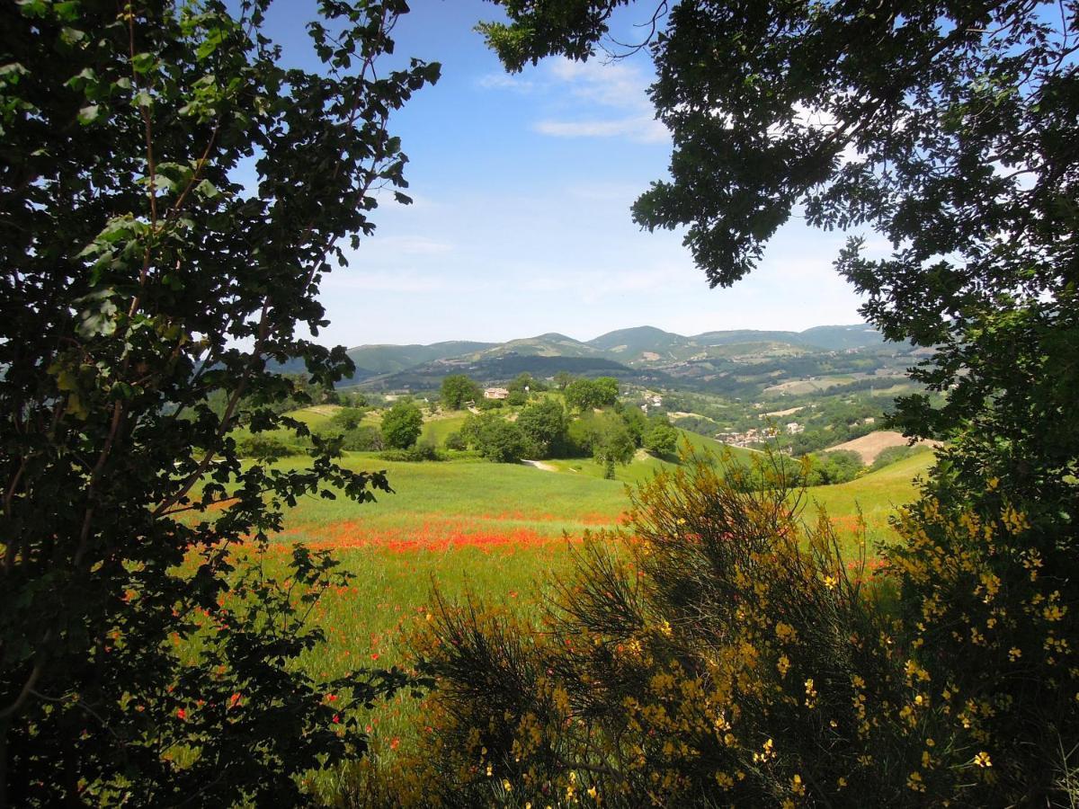 Casa Della Casa Apartment San Severino Marche Bagian luar foto